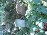 image of grave number 624047